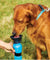 Portable Dog Water Bottle