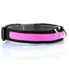 Nylon LED Anti-lost Flashing Dog Collar