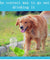Sporty Pet Travelling Water Bottle