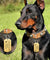 Personalized Stainless Steel Dog ID Tag