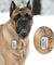 Personalized Stainless Steel Dog ID Tag