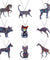 Acrylic Animal Pendant Necklace