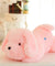 Luminous LED glowing plush dog doll