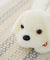 Colorful LED light glowing plush dog doll