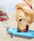 Foldable Travel Dog Water Bottle