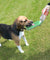 Foldable Travel Dog Water Bottle