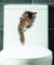 Cat Erupting from Wall 3D Sticker