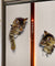 Cat Erupting from Wall 3D Sticker
