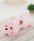 Colorful LED light glowing plush dog doll