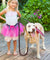 Leather Dog Leash with Spring