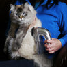 Pet Hair Remover