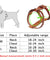 Genuine Leather Adjustable Dog Harness