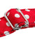 Personalized Dog Collar