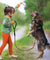 Chew Resistant Night Reflective Dog Leash
