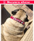 Personalized Rhinestone Dog Collar