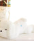 Luminous LED glowing plush dog doll