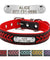 Custom Engraved Name Plate Leather Dog Collar