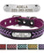 Custom Engraved Name Plate Leather Dog Collar