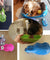 Sporty Pet Travelling Water Bottle