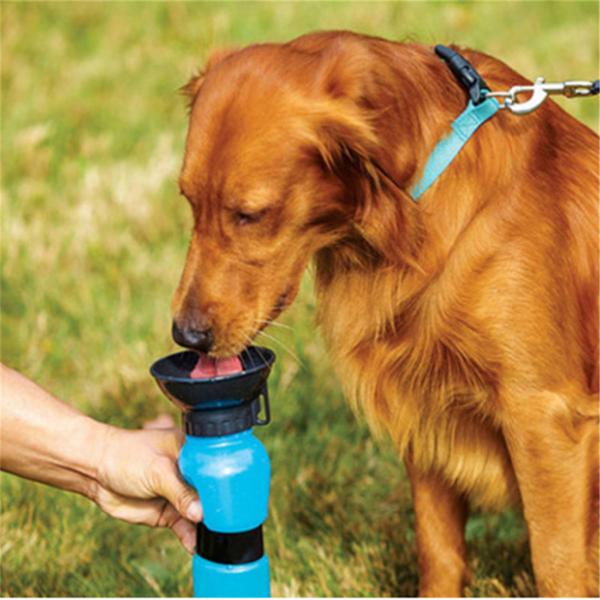 Portable Dog Water Bottle