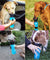 Portable Dog Water Bottle