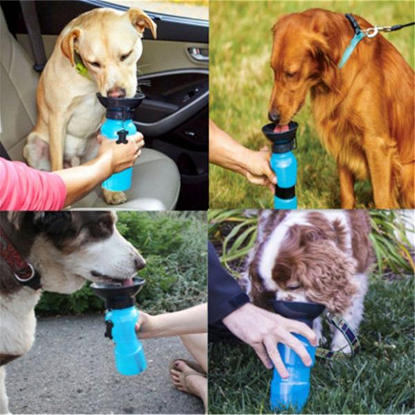 Portable Dog Water Bottle