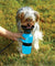 Portable Dog Water Bottle