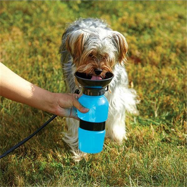 Portable Dog Water Bottle