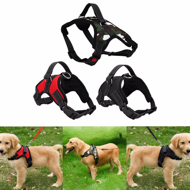 Safety Dog Harness