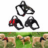 Safety Dog Harness