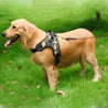 Safety Dog Harness