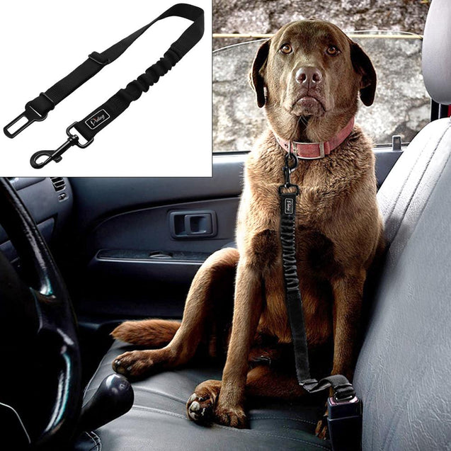 Adjustable Bungee Pet Safety Seat Belt