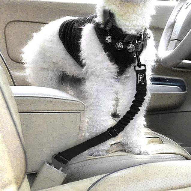 Adjustable Bungee Pet Safety Seat Belt