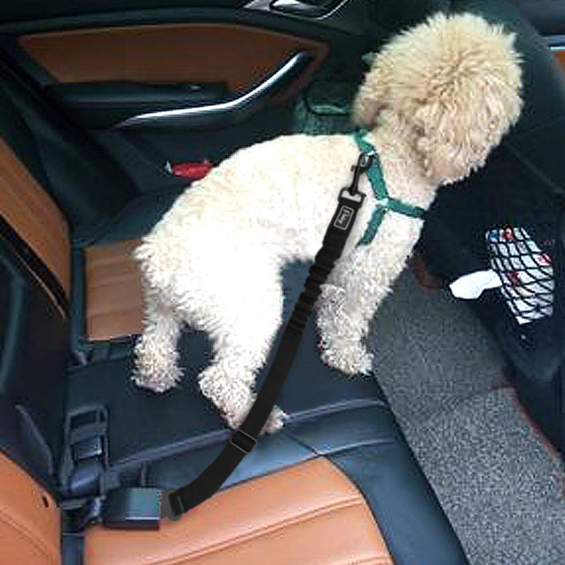 Adjustable Bungee Pet Safety Seat Belt