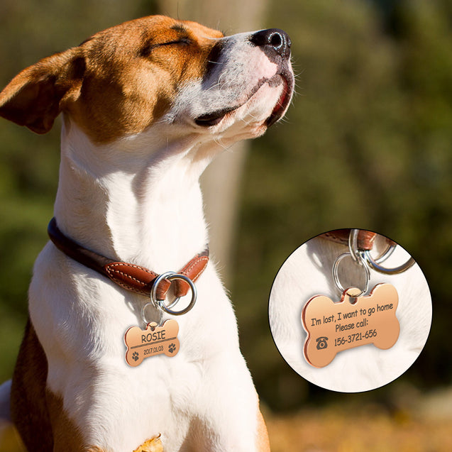 Personalized Stainless Steel Dog ID Tag