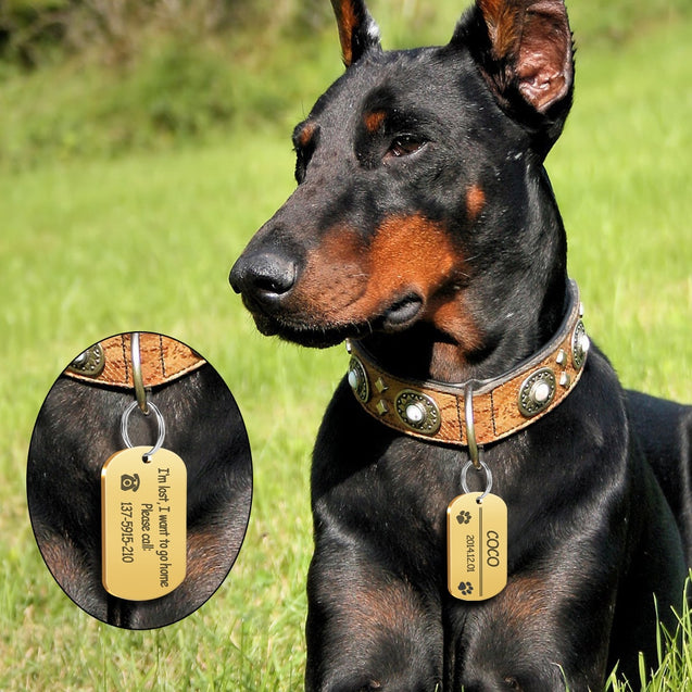 Personalized Stainless Steel Dog ID Tag