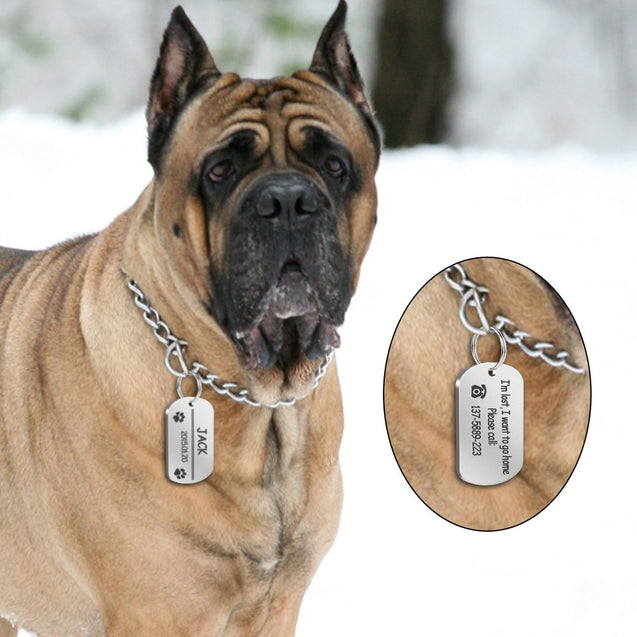 Personalized Stainless Steel Dog ID Tag