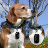 Personalized Stainless Steel Dog ID Tag