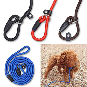 High-Quality Dog Training Adjustable Loop Slip Leash