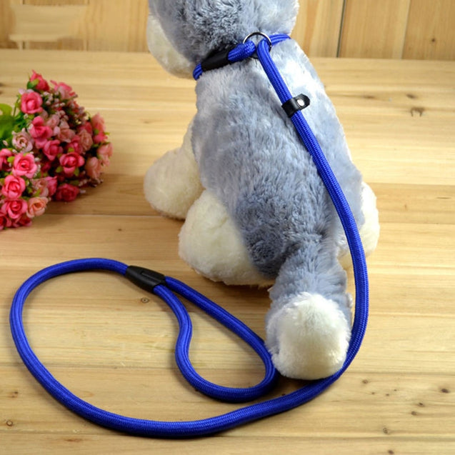 High-Quality Dog Training Adjustable Loop Slip Leash