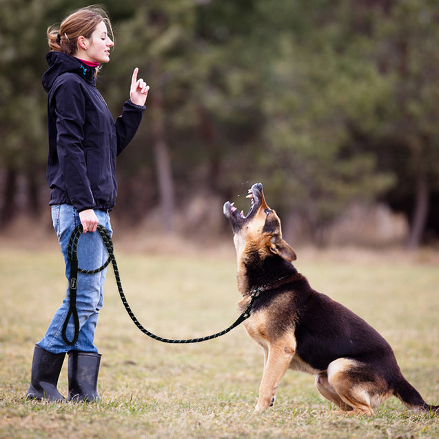 Chew Resistant Night Reflective Dog Leash