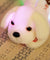 Colorful LED light glowing plush dog doll