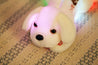 Colorful LED light glowing plush dog doll