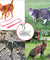 Adjustable Cat Leash Harness