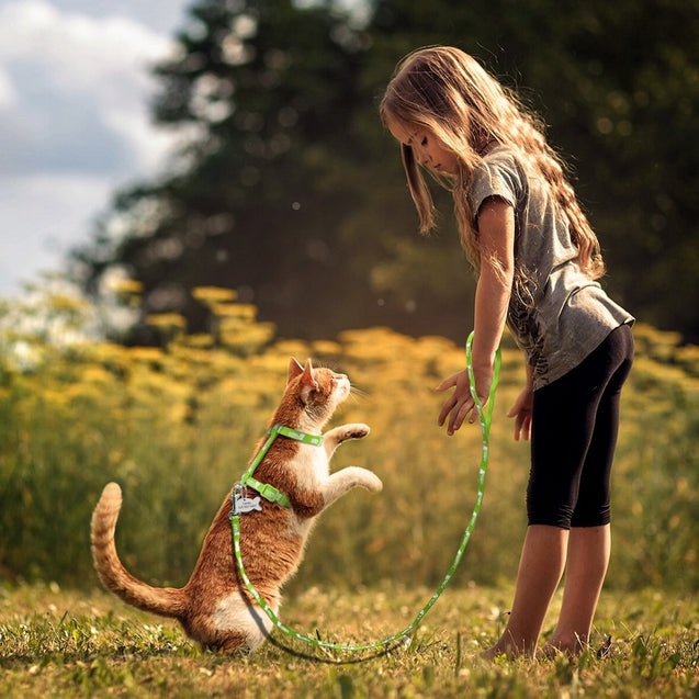 Reflective Cat Harness