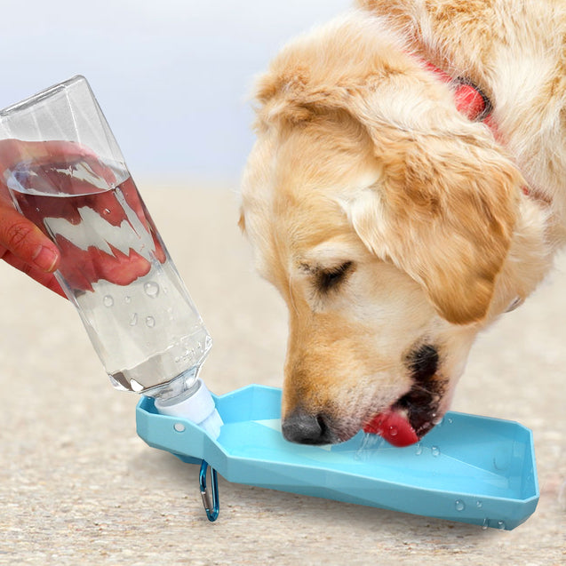 Foldable Travel Dog Water Bottle