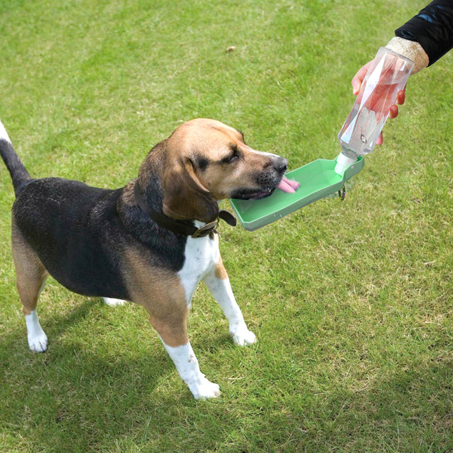 Foldable Travel Dog Water Bottle