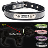 Customized Reflective Leather Pet ID Collar