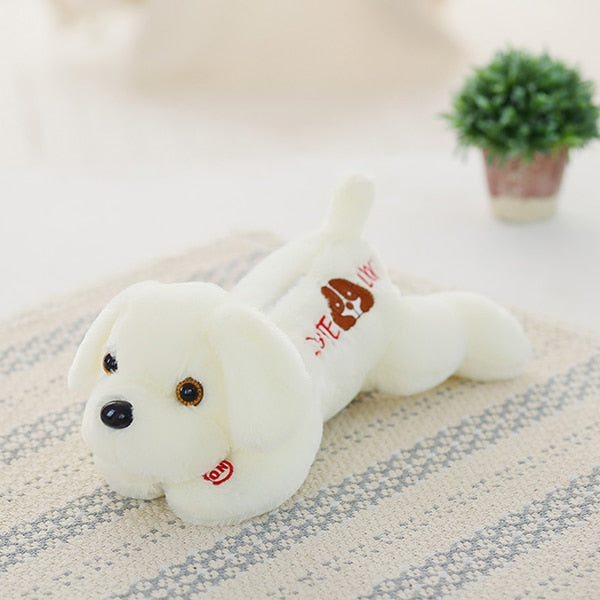 Colorful LED light glowing plush dog doll