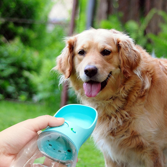 Cute Portable Travel Pet Water Bottle